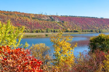 Ekim doğası ve göl. Sonbaharda renkli doğa 