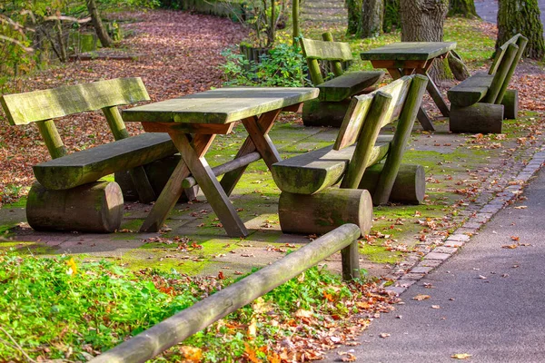Herbstpark Mit Holzbänken Und Tischen Niemand Herbst Stadtpark — Stockfoto