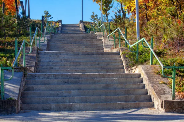 Лестница Парк Осенью Бетонная Лестница Снаружи — стоковое фото