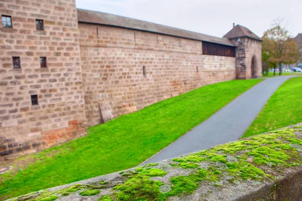 Muschio Fronte Alla Fortezza Medievale — Foto Stock