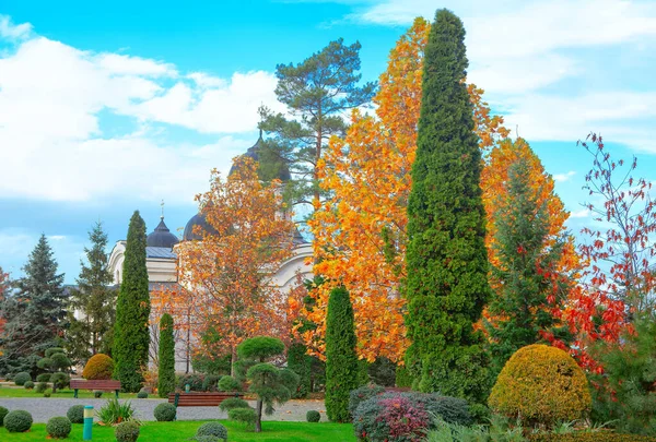 Parc Église Automne Arbres Buissons Colorés Automne — Photo