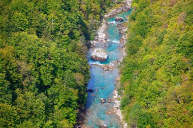 Dağ nehri ormanın içinden akar. Karadağ 'daki Tara Nehri' nin havadan görünüşü 