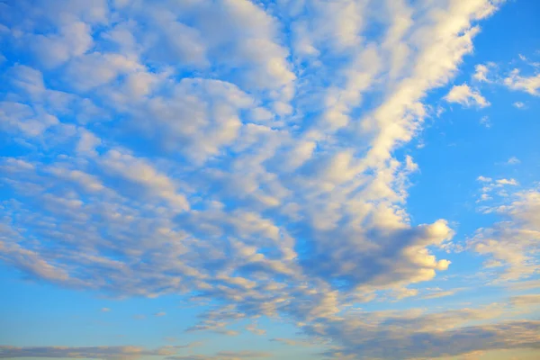 Altocumulus Wolken Morgenhimmel — Stockfoto