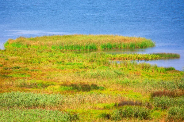 Green Reed Island Wasserschutzgebiet — Stockfoto