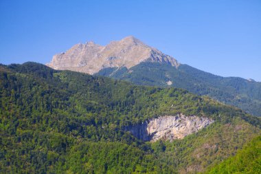Gri tepe ve yeşil tabanlı dağ
