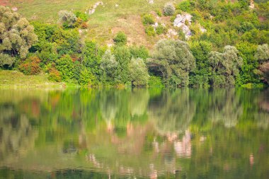 Idyllic doğa yansıması suya. Taze yeşil manzara 