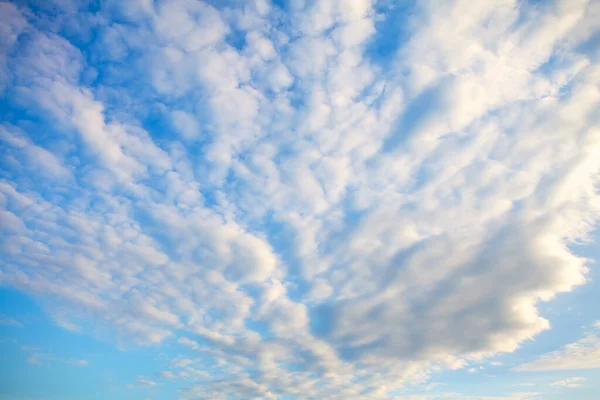 Zirkumuluswolken Langen Reihen Hoch Himmel — Stockfoto