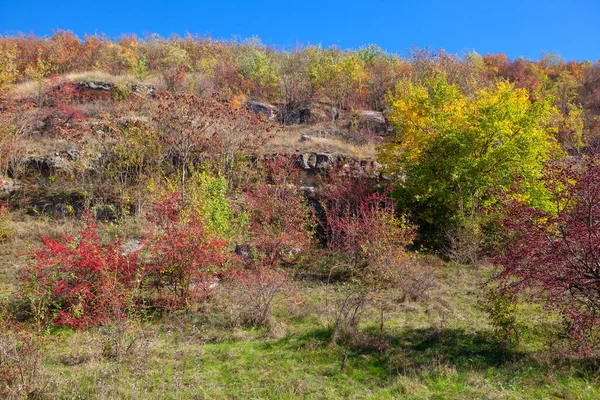 Diferentes Colores Naturaleza Otoñal Colina Rocosa Temporada Otoño —  Fotos de Stock