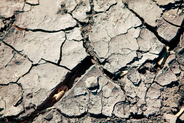 여름에 가뭄으로 토양이 결딴나다 — 스톡 사진