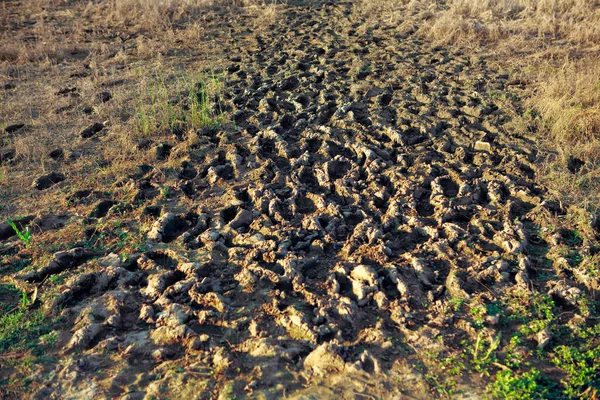 Superfície Terreno Sujo Com Pegadas — Fotografia de Stock