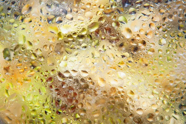 Glazen Deksel Voor Pan Met Kookvoeding Condensatie Het Hete Transparante — Stockfoto