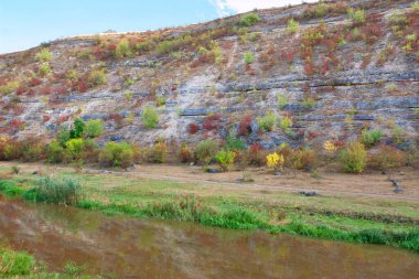 Çamurlu nehir, sonbahar yapraklarıyla kaplı kayalık yamaca yakın akar. Engebeli bir arazide mevsimlerin geçişini gösteren doğal bir sahne.