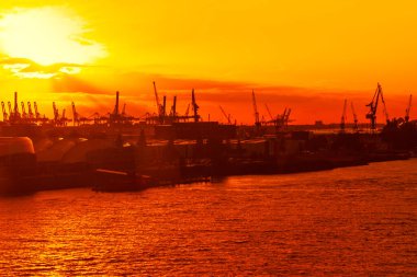 Günbatımı hareketli bir kargo limanını altın bir ışıltıyla yıkar, dramatik gökyüzüne karşı siluet vinçler ve yoğun bir şekilde suya yansıtır. Büyüleyici sahne, sanayiyi doğayla harmanlıyor.