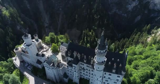 Luftaufnahme von Schloss Neuschwanstein bei grüner Sommerlandschaft. Deutschland — Stockvideo
