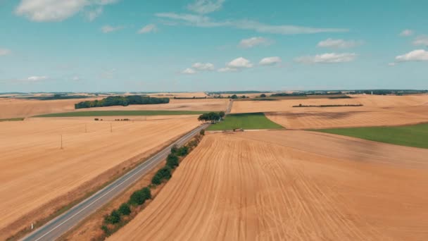 Дорога в пшеничных и ржаных полях под голубым небом и облаками. Вид с воздуха . — стоковое видео
