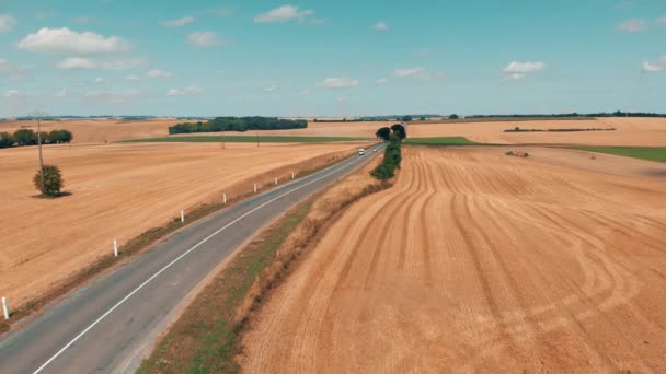 Vue aérienne de la route asphaltée avec des voitures entre les champs de blé et de maïs — Video