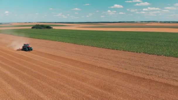 Aerial drone view of red tracor working in wheat field. Agriculture and environment in European Union. — Stock Video