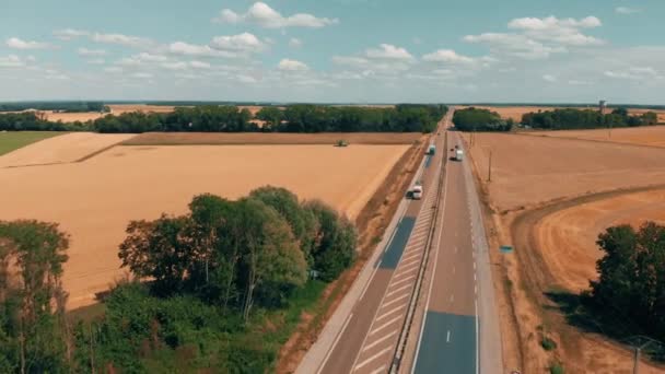 Vista aérea de carros e caminhões que vão para a fábrica agrícola industrial e armazém no campo. Conceito de logística e transporte. Campos de centeio, trigo à volta da planta — Vídeo de Stock