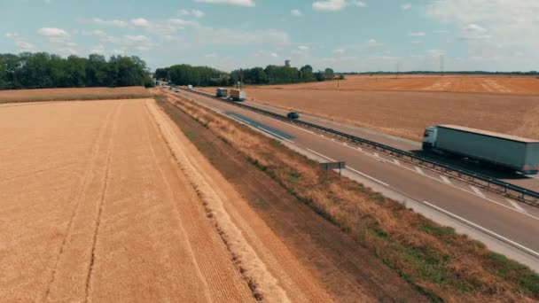 Аерофотозйомка автомобілів і вантажівок, що йдуть на промисловий сільськогосподарський завод і склад в сільській місцевості. Логістика та транспортна концепція. Поля жита, пшениця, що оточує рослину — стокове відео