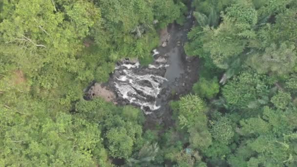 Vodopády s tekoucí vody do řeky. Letecký pohled v zelené tropické džungle. 4k — Stock video