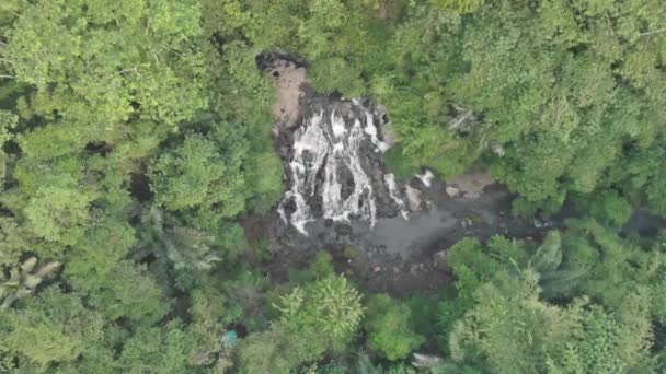 Водопады с водой, текущей в реку. Вид с воздуха в зеленых тропических джунглях. 4K — стоковое видео