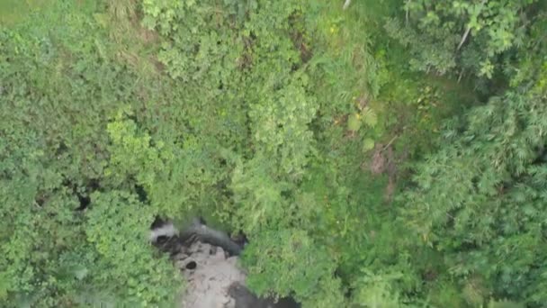 Jungles d'Indonésie. Bali. Tirer depuis le drone. 4K Vue aérienne .