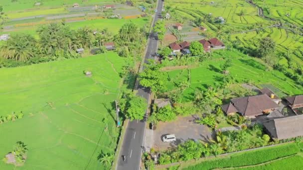 Воздушное видео в удивительном ландшафте, с беспилотником, над рисовыми террасами и региональной асфальтовой дорогой. 4K — стоковое видео