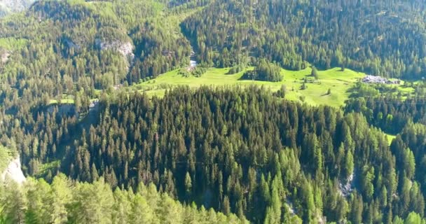 여름 날에 태양 플레어 우즈 숲과 산 계곡을 앞으로 이동합니다. 유럽 이탈리아 알프스 야외 녹색 자연 풍경 산 야생 공중. 알프스에서 무인 항공기 비행입니다. 4 k — 비디오