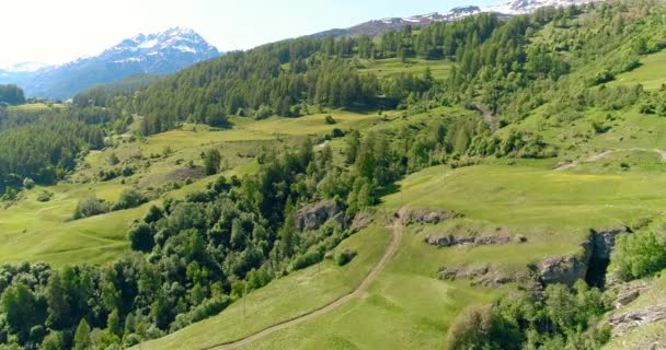 Havadan Görünümü Dağ Orman Yaz Günü Vadide Avrupa Talya Alps — Stok video