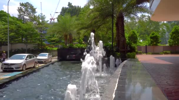 Brunnen im Park mit Palmen und Farnen 4k — Stockvideo