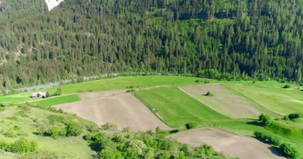 Avanzando hacia los bosques del bosque y el valle de la montaña en el día de verano.Europa Italia Alpes naturaleza verde al aire libre paisaje montañas aéreas salvajes. vuelo con drones en los Alpes. 4K — Vídeos de Stock