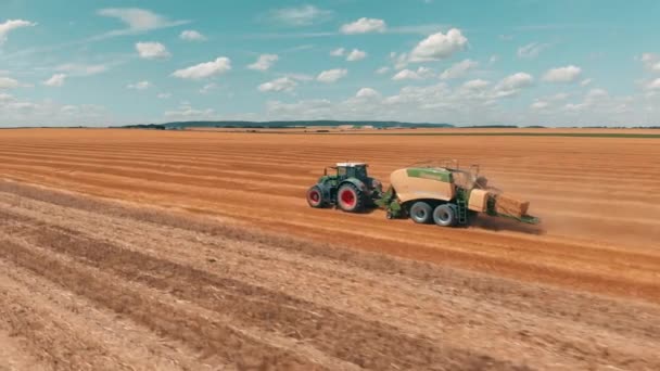 Vista aérea voando sobre o campo de trigo e combinar trator colheitadeira com reboque que faz pilhas de trigo no dia de verão 4K . — Vídeo de Stock