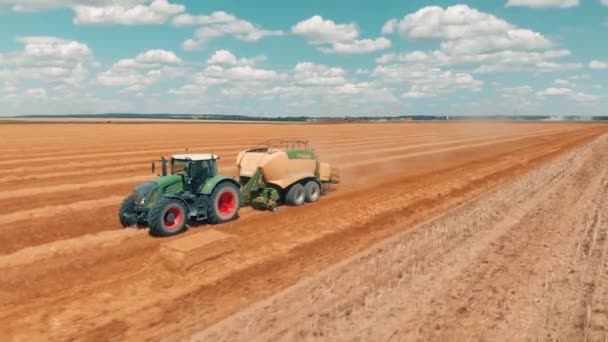 Flygfoto som flyger över vete fält och kombinera skördare traktor med släp som gör högar av vete på sommardag 4k. — Stockvideo