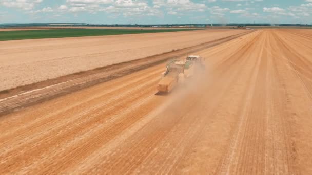 JUSSEY, FRANCE - 02 août 2018 : Vue aérienne survolant le champ de blé et combinant tracteur moissonneuse-batteuse avec remorque qui fait des piles de blé au jour d'été 4K . — Video