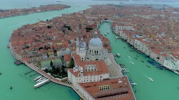 Luchtfoto drone video van iconische en unieke Santa Maria della Salute kathedraal in Canal Grande, Venetië, Italië — Stockvideo