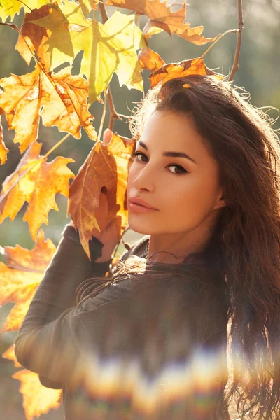 Природная Красота Осенний Портрет — стоковое фото