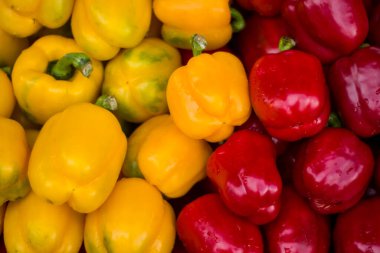 Kırmızı ve sarı dolma biber 