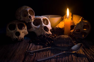 Kafatası ahşap arka planda kahve çekirdekleri ile