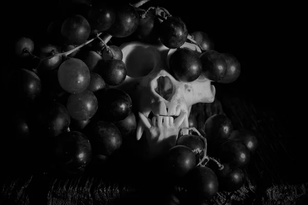 Still Life Monkey Skulls Grapes — Stock Photo, Image