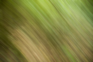 Soyut yeşil arkaplan hareketi