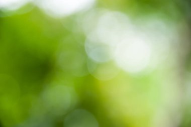 Soyut yeşil arkaplan hareketi