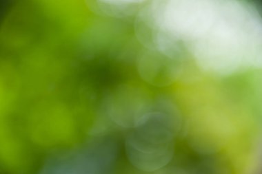 Soyut yeşil arkaplan hareketi