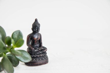 Yeşil yaprakları ile Buda heykeli. Uyum, denge ve meditasyon, spa, kavramı masaj, sakin ol