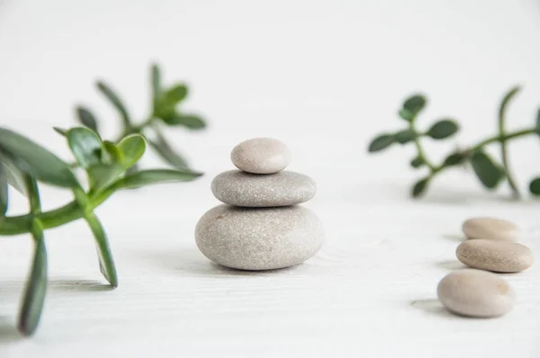 Ahşap zemin üzerinde yeşil yapraklar olan beyaz zen taşı piramitleri. Uyum kavramı, denge ve meditasyon, spa, masaj, rahatlama