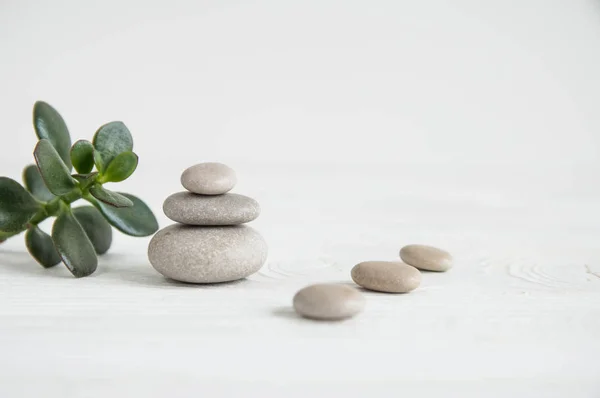 Yeşil yaprakları ve Buda heykeli ahşap arka plan üzerinde beyaz zen taşlarla piramitleri. Uyum, denge ve meditasyon, spa, kavramı masaj, sakin ol
