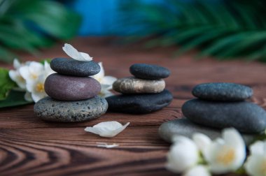 Gri Zen taşlarından piramitler, güzel taze beyaz çiçekler, ahşap arka planda yeşil yapraklar. Uyum kavramı, denge ve meditasyon, spa, masaj, rahatlama