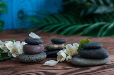 Gri Zen taşlarından piramitler, güzel taze beyaz çiçekler, ahşap arka planda yeşil yapraklar. Uyum kavramı, denge ve meditasyon, spa, masaj, rahatlama