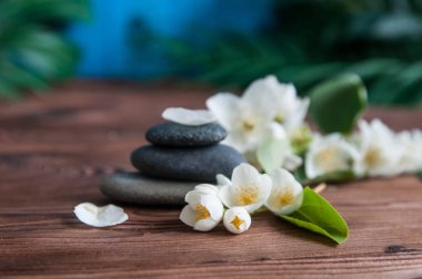 Gri Zen taşlarından piramitler, güzel taze beyaz çiçekler, ahşap arka planda yeşil yapraklar. Uyum kavramı, denge ve meditasyon, spa, masaj, rahatlama