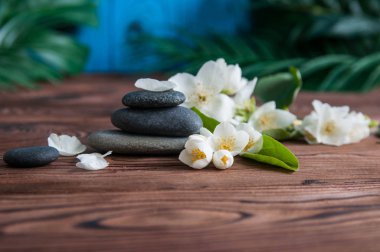 Gri Zen taşlarından piramitler, güzel taze beyaz çiçekler, ahşap arka planda yeşil yapraklar. Uyum kavramı, denge ve meditasyon, spa, masaj, rahatlama