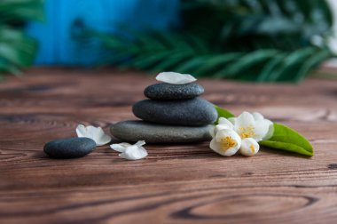 Gri Zen taşlarından piramitler, güzel taze beyaz çiçekler, ahşap arka planda yeşil yapraklar. Uyum kavramı, denge ve meditasyon, spa, masaj, rahatlama